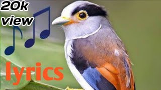 Morning Birds singing Bird ringtone Free ringtones download to cell phone for free