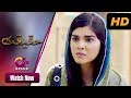 Janwar - Haqeeqat | Aplus| Zainab Shabbir, Arsalan Asad Butt, Arsalan Raja | Pakistani Drama | CK1