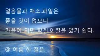 [동의보감] 더위를 이기는 음식과 여름철 섭생방법 / 부산 동래구 마음편 한의원