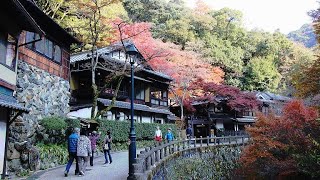 Minoh Falls \u0026 Park in Osaka, Japan. Autumn Walking Tour 4k