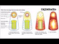 nuclear fusion breakthrough 21 ാം നൂറ്റാണ്ടിലെ ഏറ്റവും വലിയ കണ്ടെത്തൽ bright keralite