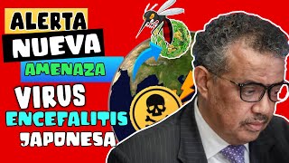 ALERTA  ⚠️ OTRO VIRUS HEMORRÁGICO AVANZA EN ASIA: ENCEFALITIS JAPONESA - PELIGRO LATENTE !!!