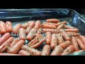 day 55 garlic butter roasted baby carrots