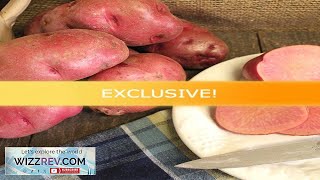 Potato (Mid-Season) All Red (Organic/Heirloom) – Seeds Review