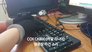 COX CK800 (카일 광축 리니어) - 영문장 타건 소리