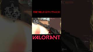 【VALORANT】対面で壊しまくるヴァンダルACE! #shorts #valorant #valorantclips #valorantクリップ #valorantキル集 #ヴァロラント