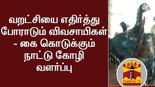 வறட்சியை எதிர்த்து போராடும் விவசாயிகள் - கை கொடுக்கும் நாட்டு கோழி வளர்ப்பு | Thanthi TV