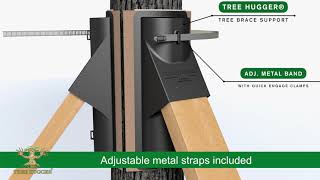 TREE HUGGER® Tree Brace™ Systems