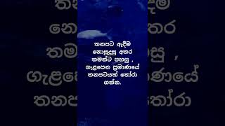 හම්බෝ එයාලට වෙන දේ හිතාගන්නවත් බෑ 🙄🙄. #psychology  #education #shorts