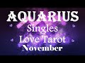 AQUARIUS - Someone's Ready To Pursue You Romantically! They've Been Waiting For The Right Time😘🌹