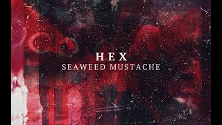 [MV] 미역수염 (Seaweed Mustache) - HEX (Official Video)