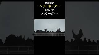 【閲覧注意】幼馴染がハリーポッターを翻訳したらハリーが・・・ #映画 #ハリーポッター #翻訳