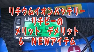 リチビーを一年使った結果#148