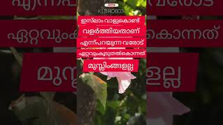 സമദാനി/ഏറ്റവും കൂടുതൽ മനുഷ്യരെ കൊന്നത് മുസ്‌ലിങ്ങളല്ല