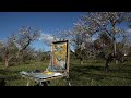 Plein Air Painting: Spring Orchard