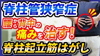 【脊柱管狭窄症】腰から背中の痛みを治す！脊柱起立筋はがし