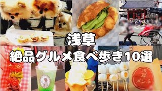 【浅草】Cafe vlog/浅草絶品グルメ食べ歩き10選！～2022.G.W～浅草で愛犬と食べ歩き散歩【vlog】～後編～