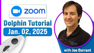 Dolphin Neurostim tutorial - January 2, 2025