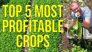 Unlock the Secret to Maximum Profits: The Top 5 Most Lucrative Crops for Market Gardeners Revealed!