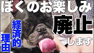 愛犬が大好きだったアレ、もうしない。