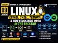Linux Explained for DevOps Engineers | Kernel, Shell, Terminal | DevOps Beginner to Advanced #9
