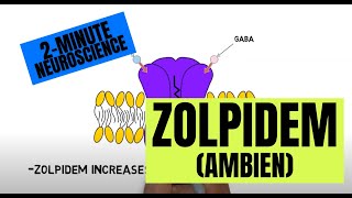 2-Minute Neuroscience: Zolpidem (Ambien)
