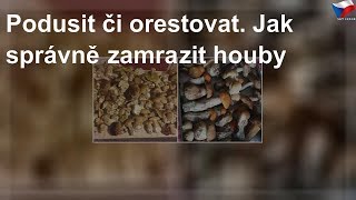 Tip: Jak správně zamrazit houby