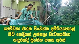 පෙම්වතා එක්ක පිංවත්ත දුම්රියපොළේ සිටි හෙදියක් උස්සලා වැටකෙයියා පඳුරකදි ලිංගික පහස අරන්