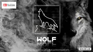 เสียงหมาป่า 🐺 1 ชั่วโมง | Wolf Sound ผ่อนคลาย คลายเครียด