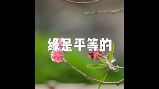 201604 缘是平等的21819