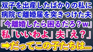 【スカッとする話】双子を出産したばかりの私に病院で離婚届を突きつけた夫「子供産んだからって偉そうにしたら即離婚な！離婚したら困るだろ？w」私「いいわよ」夫「え？」喜んで役所へ、だってこの子は