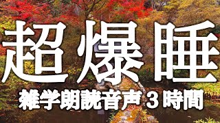 【睡眠用】眠れない・不眠・作業用にも✨雑学朗読３時間【広告は最初のみ（途中広告なし）】