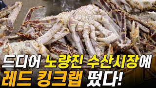 수산시장에 드디어 나온 레드 킹크랩의 역대급 가격?!