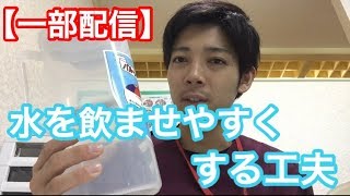 認知症の方に水を飲ませやすくする工夫とは