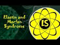 Elastin and Marfan syndrome