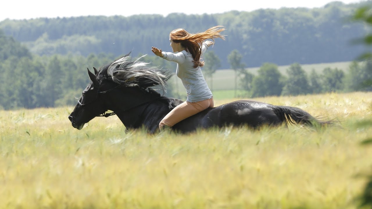 Ostwind Music Video Youtube Music