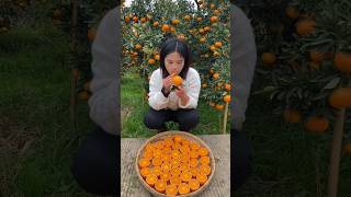 How to grow and harvest a juicy orange