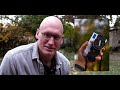 the sigma fp l long term honest review of japan s tiniest camera