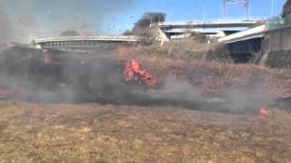 相模の大凧、野焼き(2016.2.7) 1