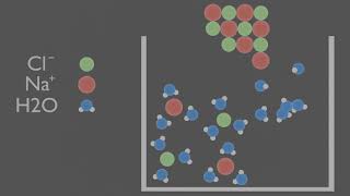 Dissolving Salt into Water Animation