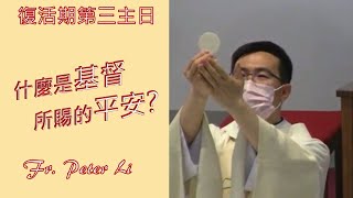 Fr. Peter 復活期第三主日   [路加福音二四35-48]