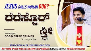 ದೆದೆಸ್ಪೊರ್ ಸ್ರೀ ಕೊಣಾ ಖಾತಿರ್ ಮಾಗ್ತಾ?  Reflection by Fr. Stephen Lobo OCD |