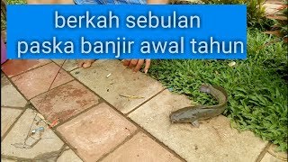 Berkah banjir 2020