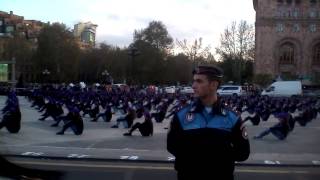 Darcir Im Ani-Flash Mob 1915-2015 (Taron Gexagitakan Kentron)