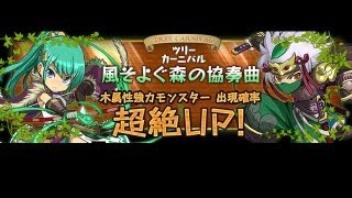 [パズドラ] レアガチャ:ツリーカーニバル「+タマゴ」