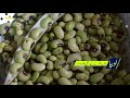 9 amazing health benefits of black eyed peas lobia ke fayde in urdu hindi ilmgoram