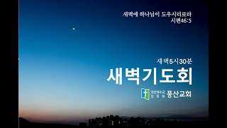 삼상4장19-22 영광이 어디에 있는가? (20250204 화요새벽기도 풍산교회)