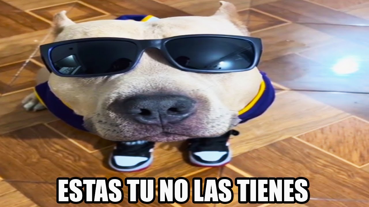 Memes Y Momentos Xd V1 Youtube