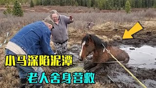 小马深陷泥潭无法脱身，老人连开两辆越野车营救，结局让人感动！