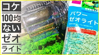 【アクアリウム】コケなくなる？100均ゼオライトをろ材にしたら水槽掃除が楽に⁉︎水草水槽で苔が生えるか実験してみたら大惨事に‼︎